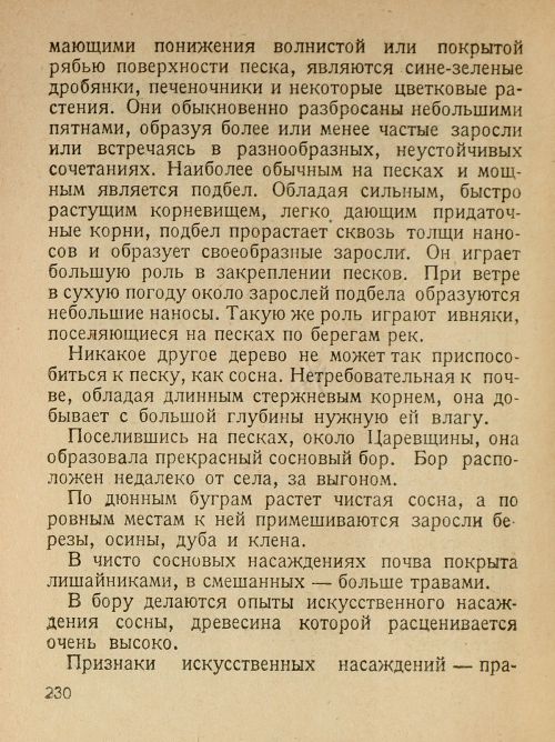 Страница 232