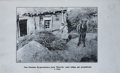 Страница 45
