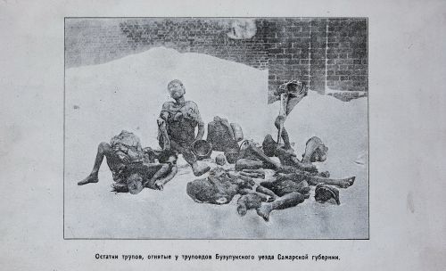 Страница 137