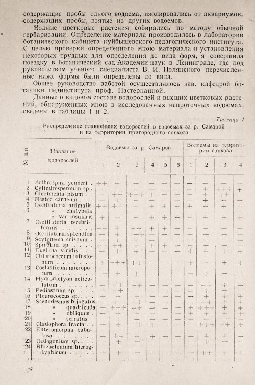 Страница 62