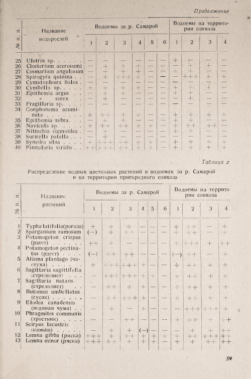Страница 63