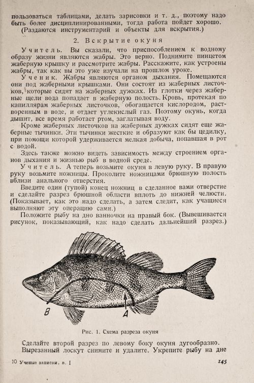 Страница 149