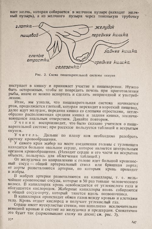 Страница 151