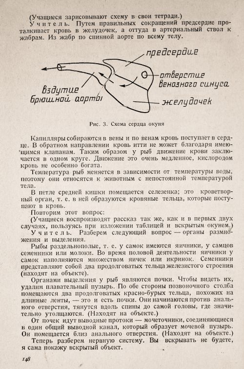 Страница 152
