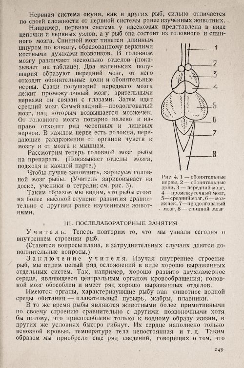 Страница 153