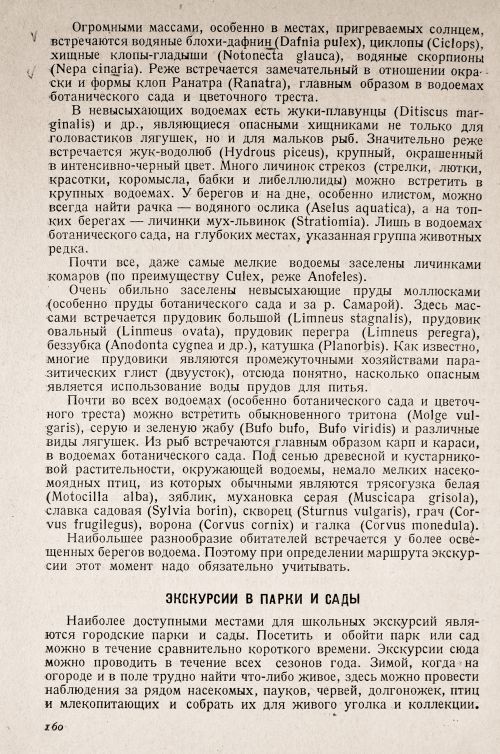 Страница 164