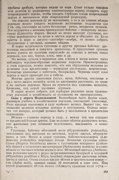 Страница 167