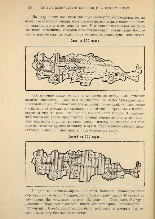 Страница 256