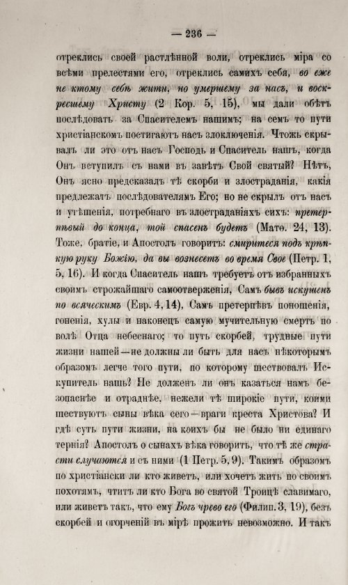 Страница 242