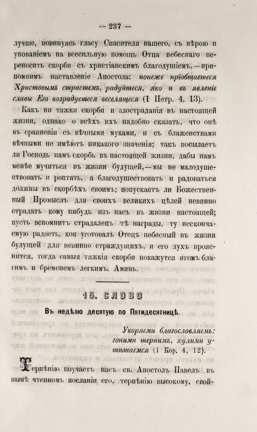 Страница 243