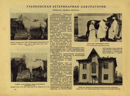Страница 34