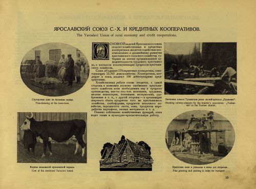 Страница 35