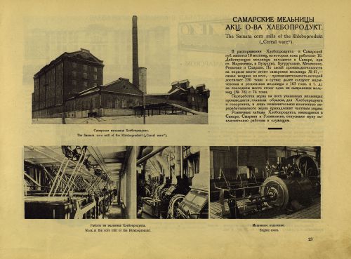 Страница 43