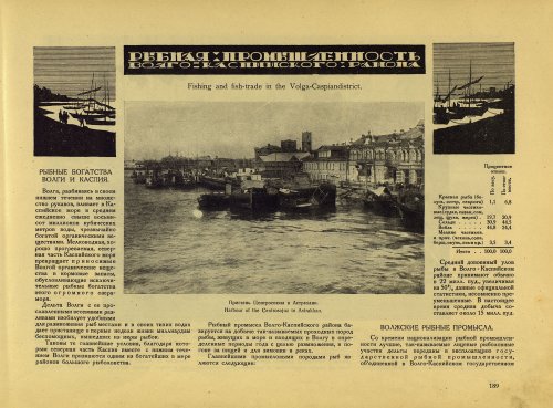 Страница 209