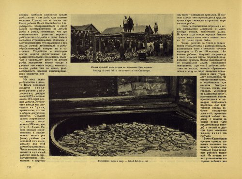 Страница 212