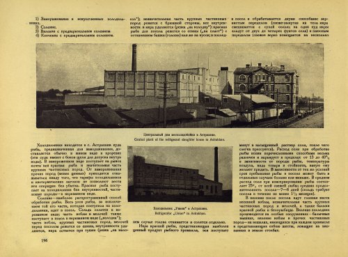 Страница 216