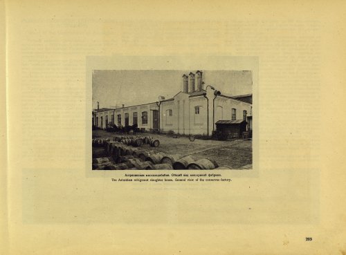Страница 223