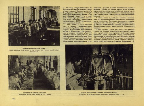 Страница 230