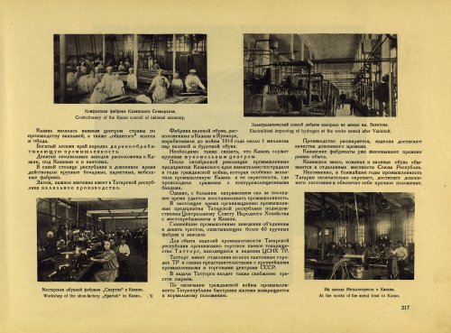 Страница 237