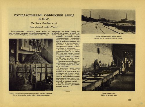 Страница 245