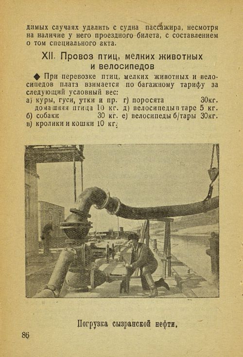 Страница 96