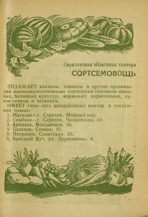 Страница 195