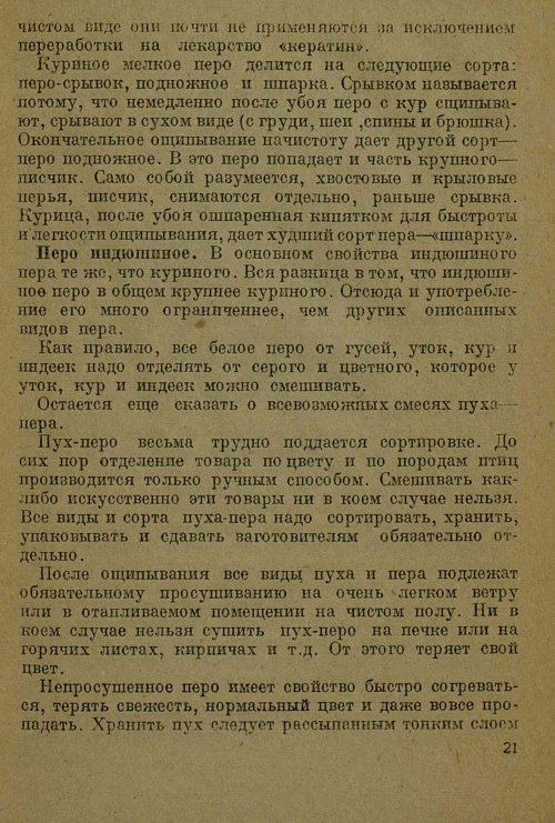 Страница 23