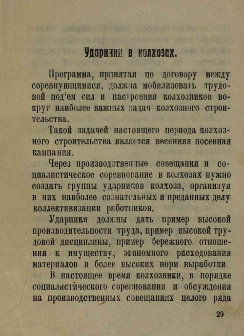 Страница 31