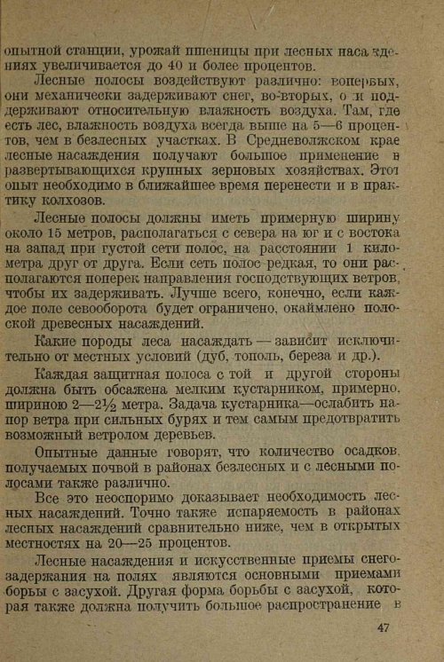 Страница 49